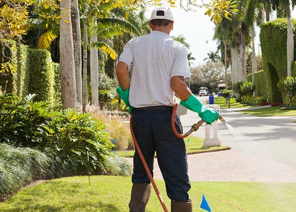 About Pinehurst GA Pest Control Pros